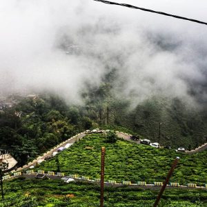 Darjeeling weather during monsoon