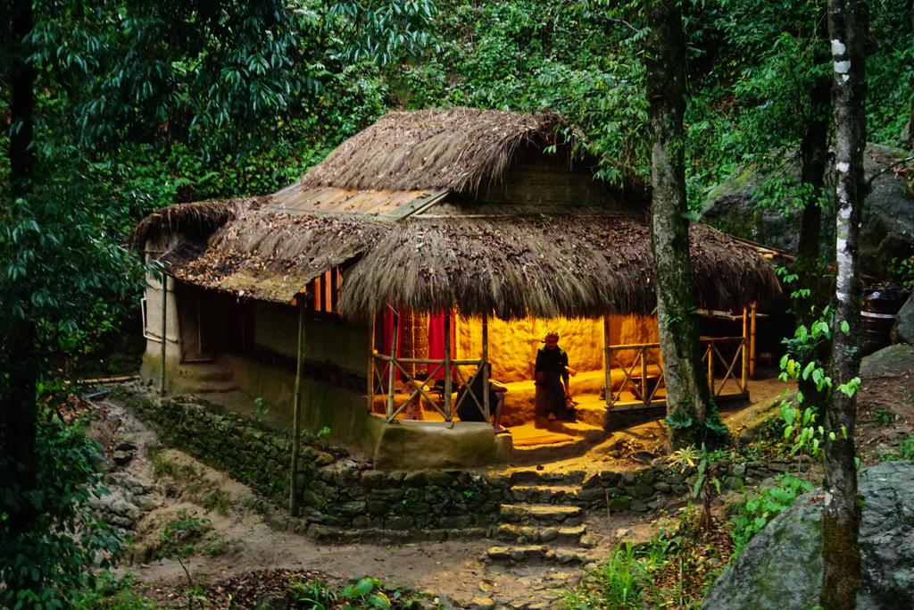 Tieedi Earthy Dwelling, Darjeeling