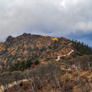 Singalila National Park