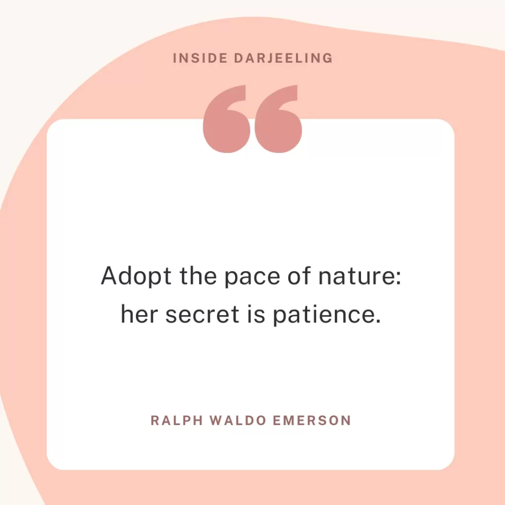 Adopt the pace of nature: her secret is patience.