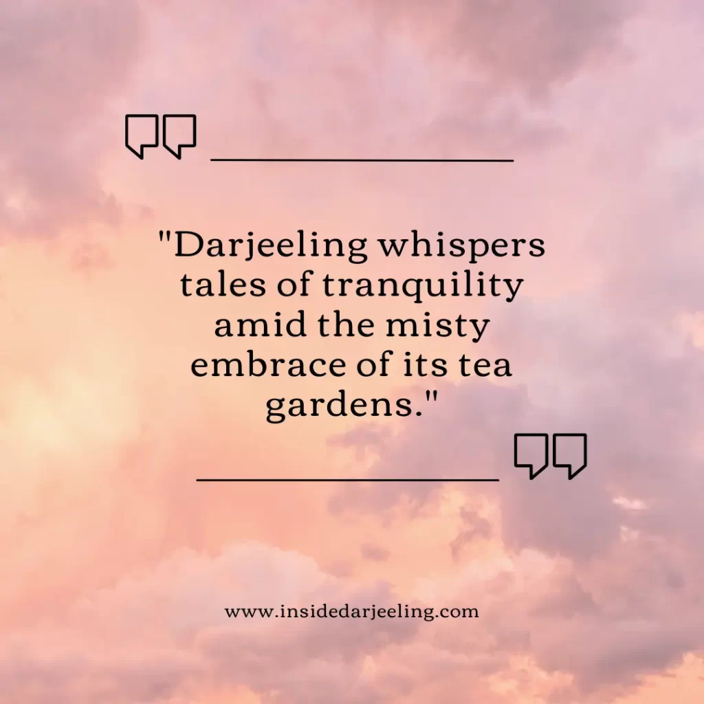 Darjeeling whispers tales of tranquility amid the misty embrace of its tea gardens.