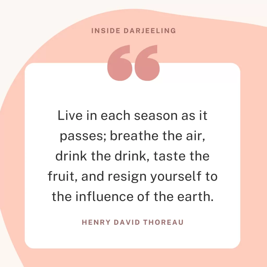 Live in each season as it passes; breathe the air, drink the drink, taste the fruit, and resign yourself to the influence of the earth.