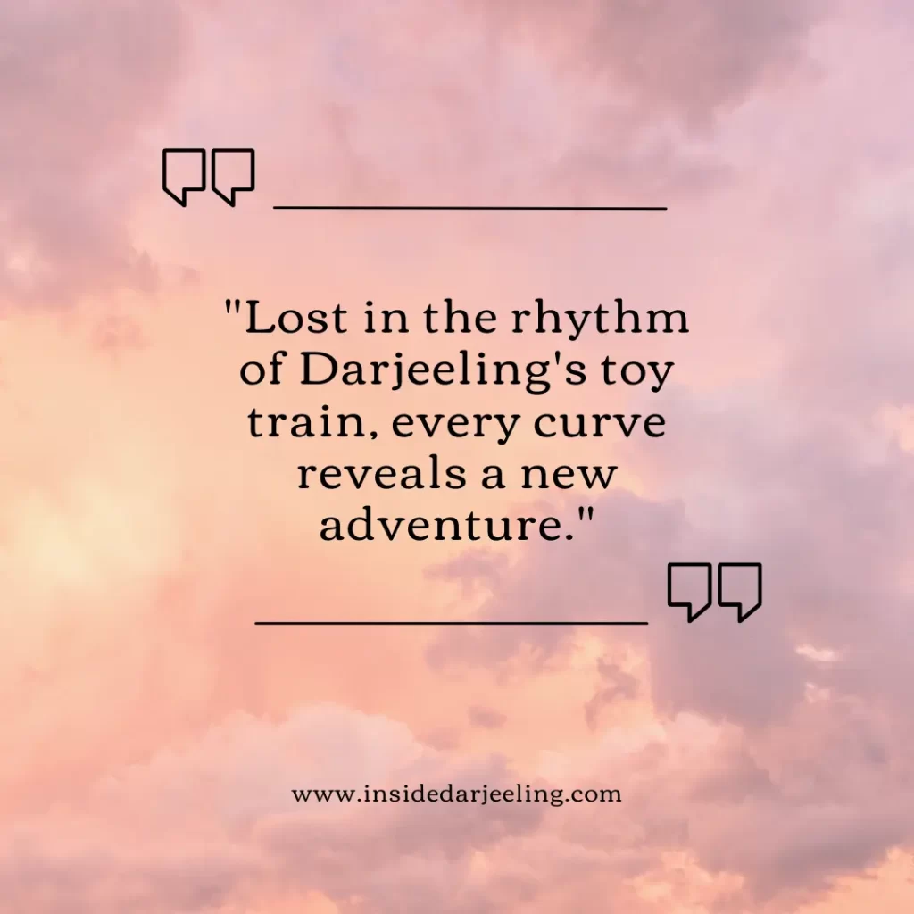 Lost in the rhythm of Darjeeling's toy train, every curve reveals a new adventure.