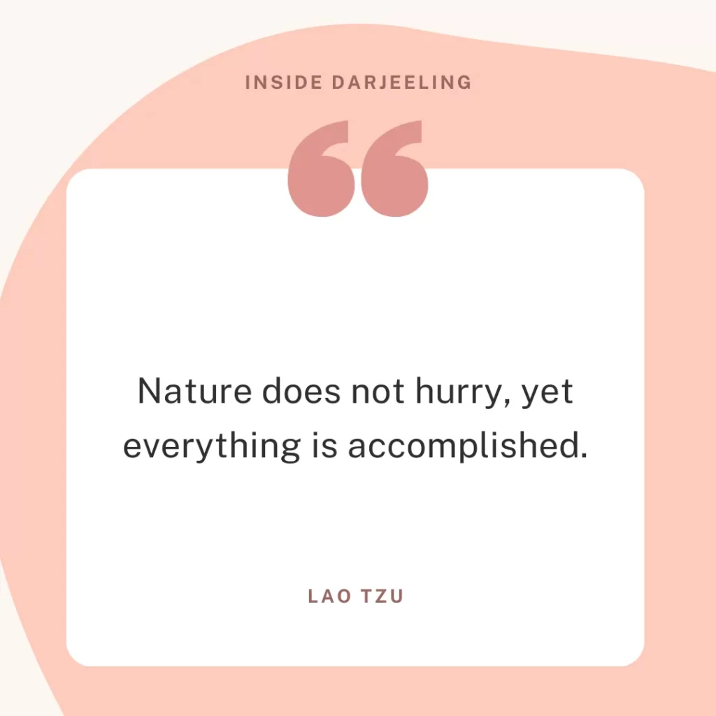 Nature does not hurry, yet everything is accomplished.