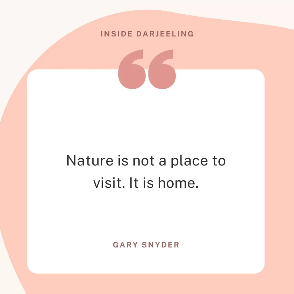 Nature is not a place to visit. It is home.