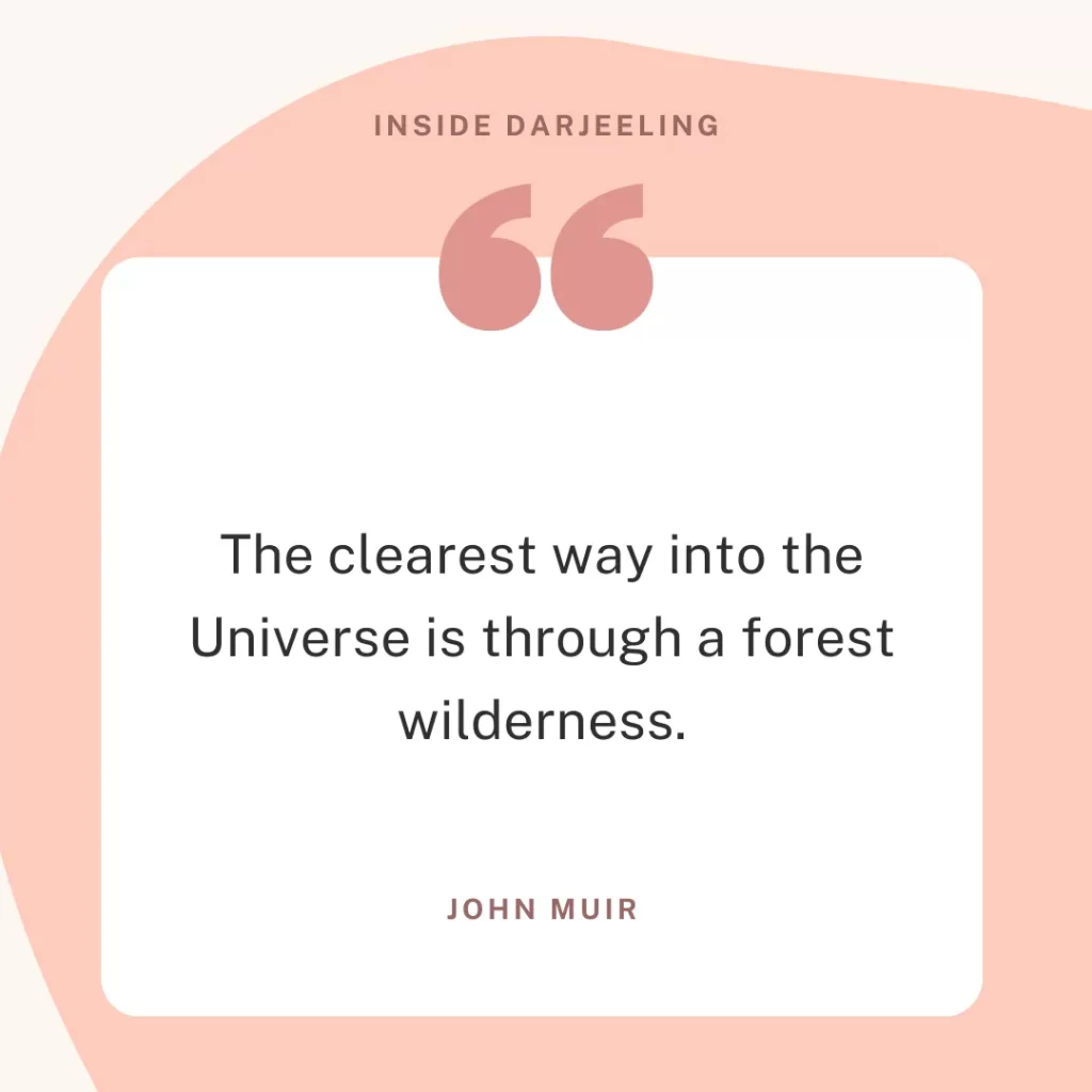 The clearest way into the Universe is through a forest wilderness.