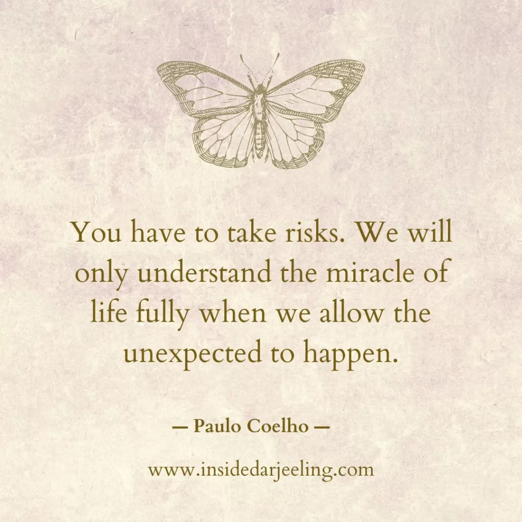 You have to take risks. We will only understand the miracle of life fully when we allow the unexpected to happen