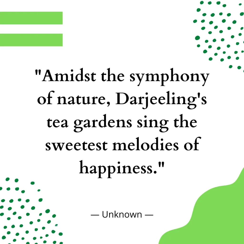 Amidst the symphony of nature, Darjeeling's tea gardens sing the sweetest melodies of happiness