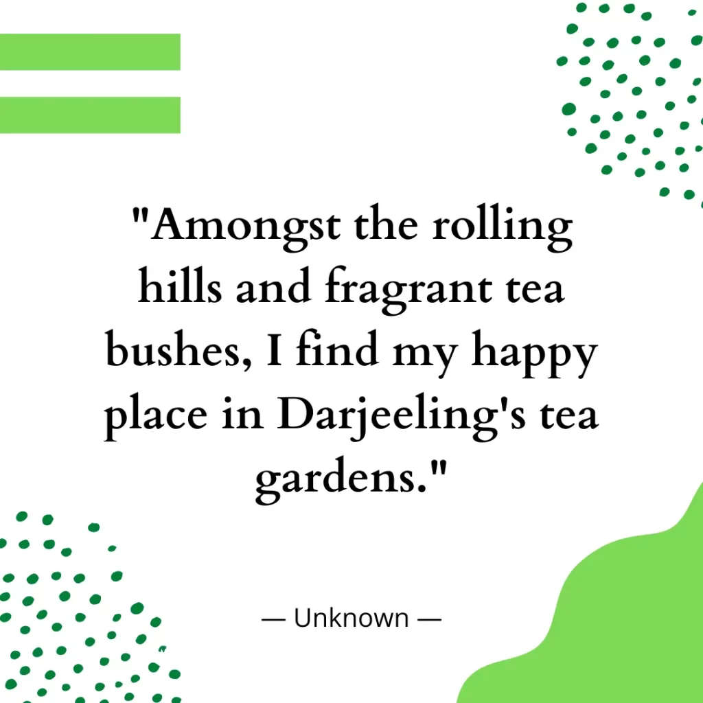 Amongst the rolling hills and fragrant tea bushes, I find my happy place in Darjeeling's tea gardens