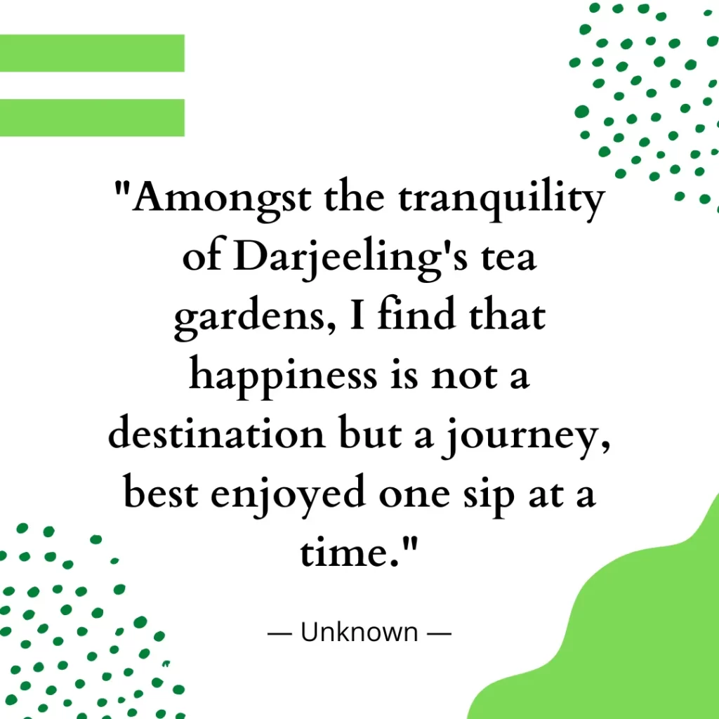 Amongst the tranquility of Darjeeling's tea gardens, I find that happiness is not a destination but a journey, best enjoyed one sip at a time.