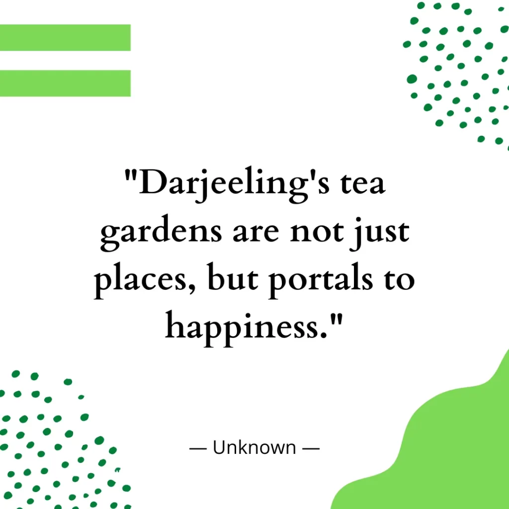 Darjeeling's tea gardens are not just places, but portals to happiness