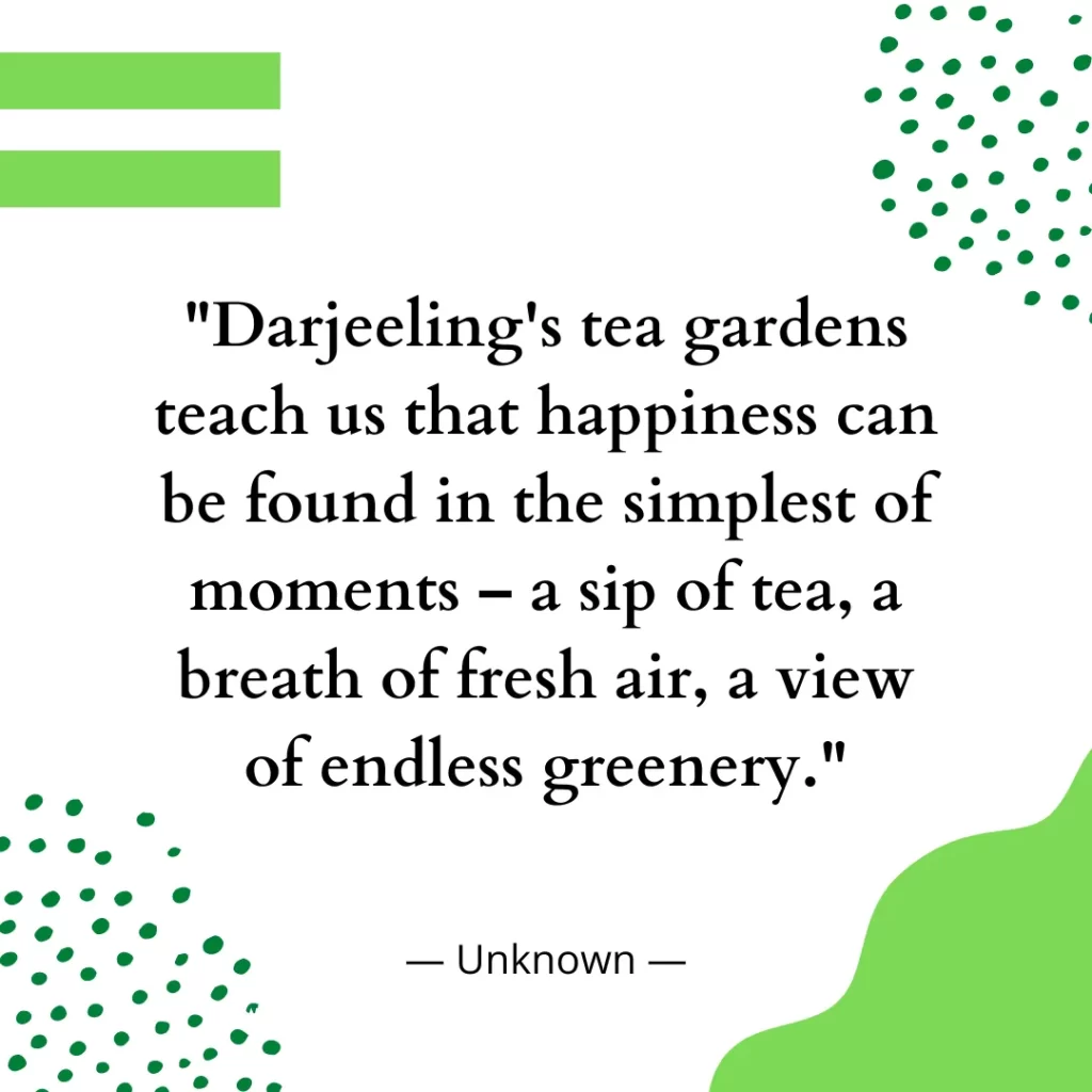 Darjeeling's tea gardens teach us that happiness can be found in the simplest of moments – a sip of tea, a breath of fresh air, a view of endless greenery