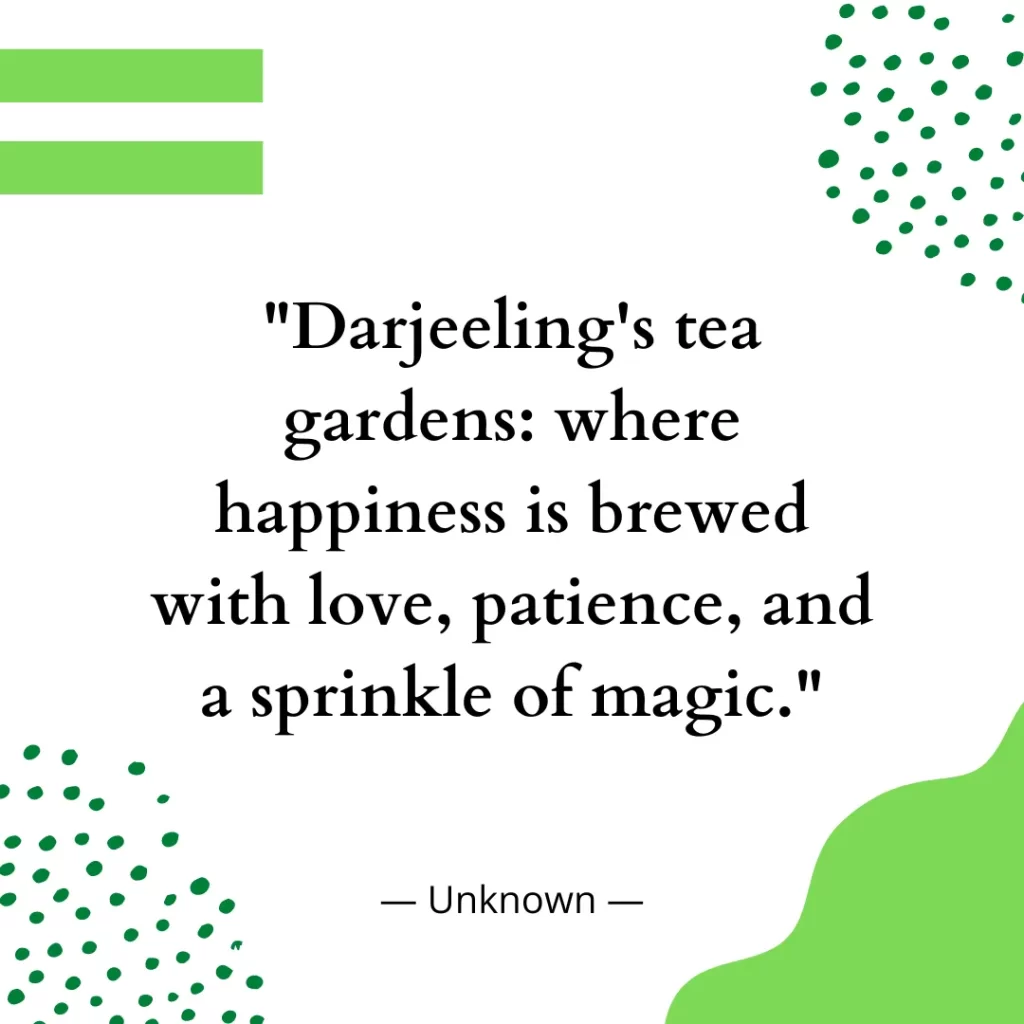 Darjeeling's tea gardens: where happiness is brewed with love, patience, and a sprinkle of magic