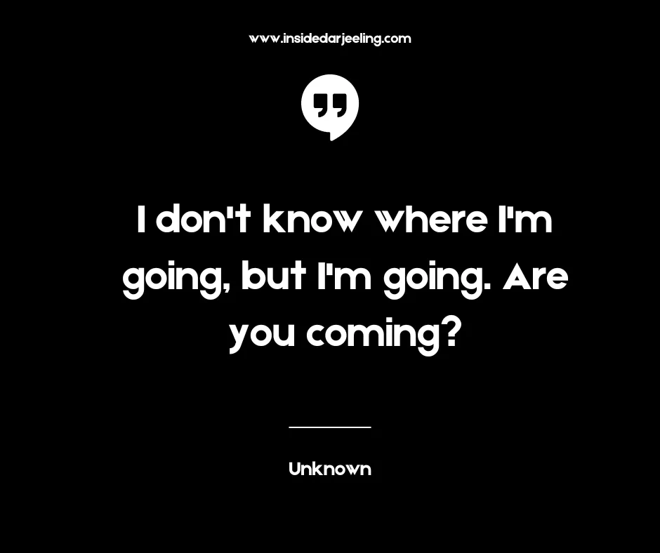 I don't know where I'm going, but I'm going. Are you coming