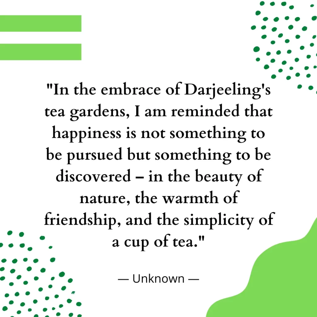 In the embrace of Darjeeling's tea gardens, I am reminded that happiness is not something to be pursued but something to be discovered – in the beauty of nature, the warmth of friendship, and the simplicity of a cup of tea