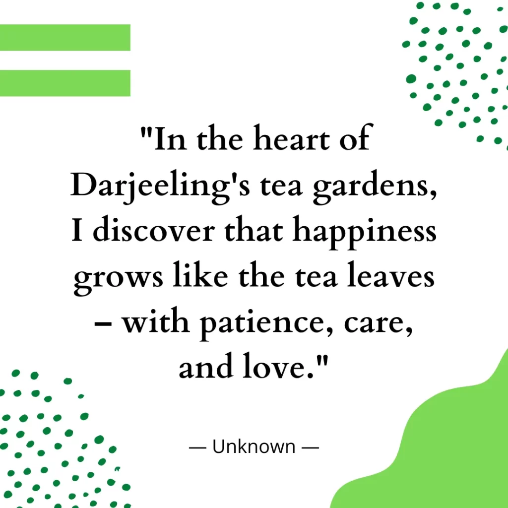 In the heart of Darjeeling's tea gardens, I discover that happiness grows like the tea leaves – with patience, care, and love