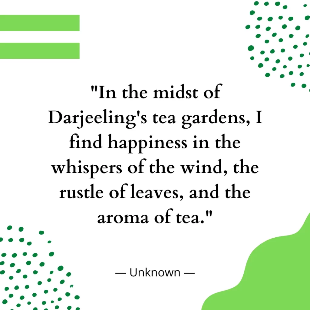 In the midst of Darjeeling's tea gardens, I find happiness in the whispers of the wind, the rustle of leaves, and the aroma of tea