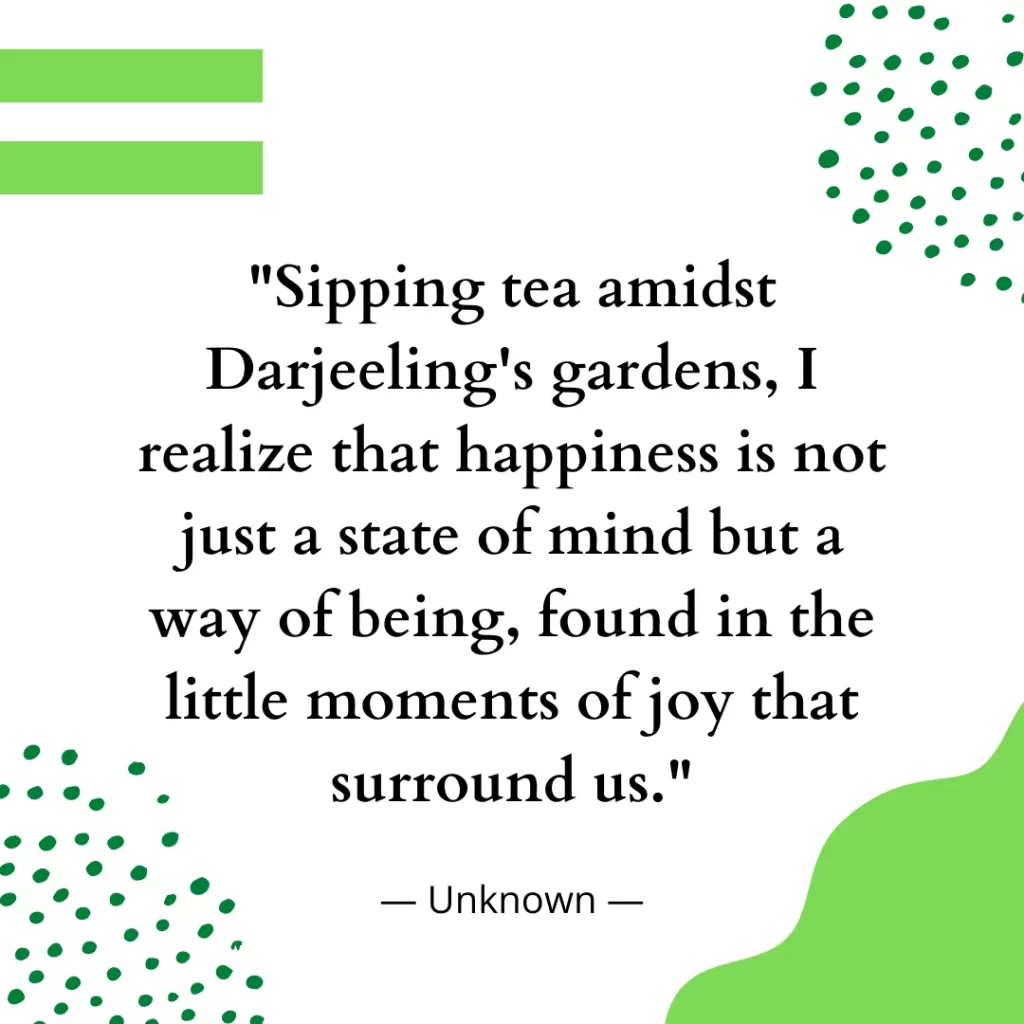 Sipping tea amidst Darjeeling's gardens, I realize that happiness is not just a state of mind but a way of being, found in the little moments of joy that surround us.