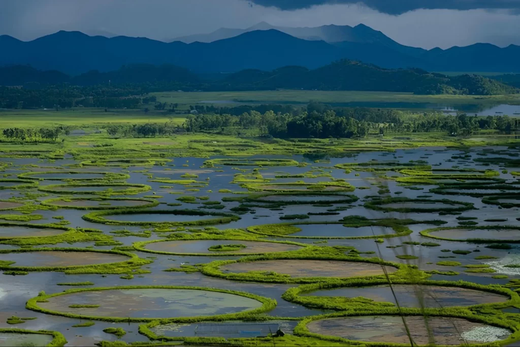 Loktak Lake, Manipur